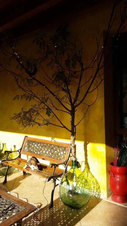 La Cascina Di Alice Acomodação com café da manhã Castiglione Delle Stiviere Exterior foto