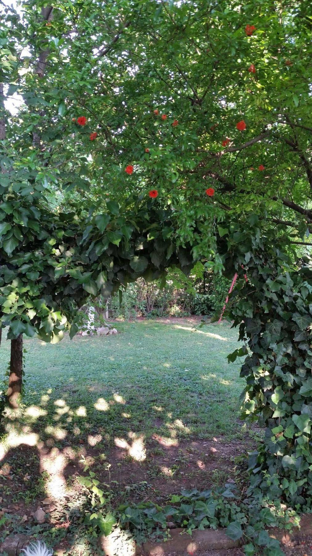 La Cascina Di Alice Acomodação com café da manhã Castiglione Delle Stiviere Exterior foto